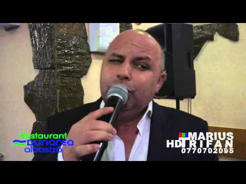 8 Martie 2016 Dunarea Albastra - Damian Conac - Ascultare LIVE (cover)