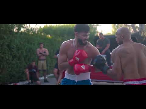 The Tate Life - Balkan Warriors