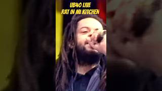 Rat in mi kitchen RIP ASTRO #ub40 #legend #80smusic #reggae #foryou #trending