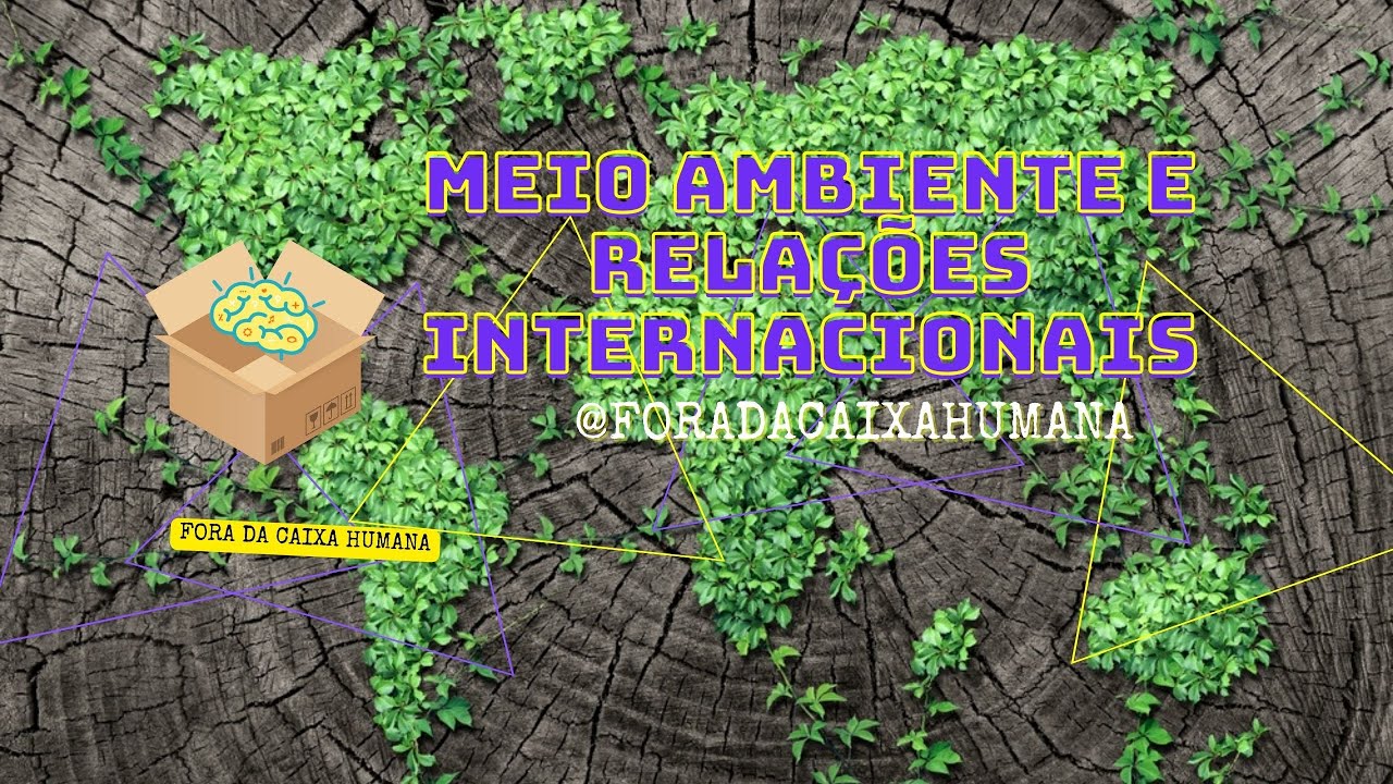 Fora da Caixa Humana: meio ambiente e relações internacionais