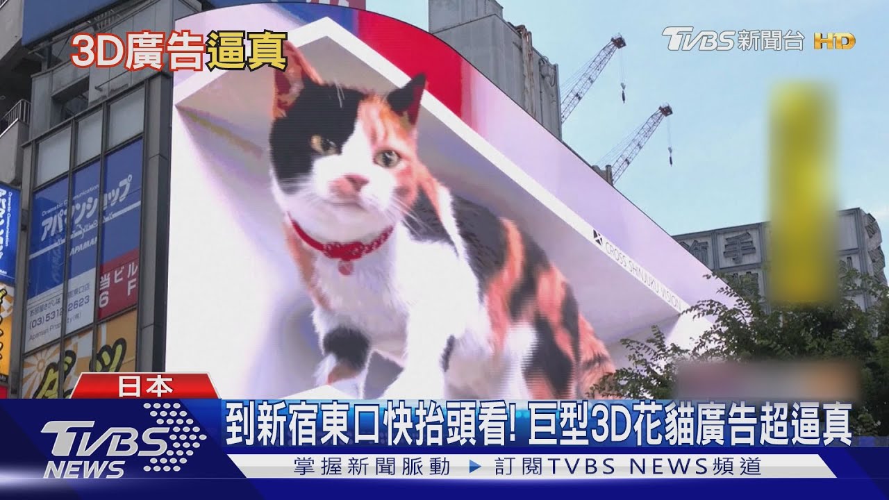 到新宿東口快抬頭看! 巨型3D花貓廣告超逼真