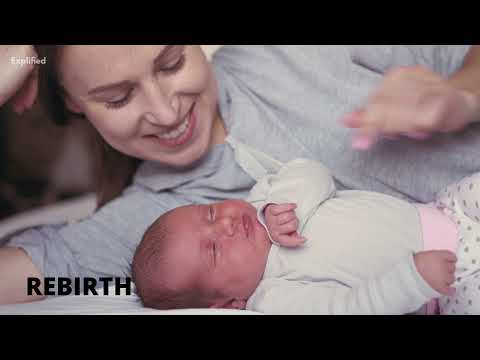 What Is Reincarnation: Reincarnation Meaning Explained