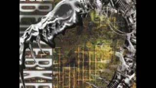 The Berzerker - Burnt