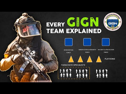 All the Elite Teams of GIGN explained