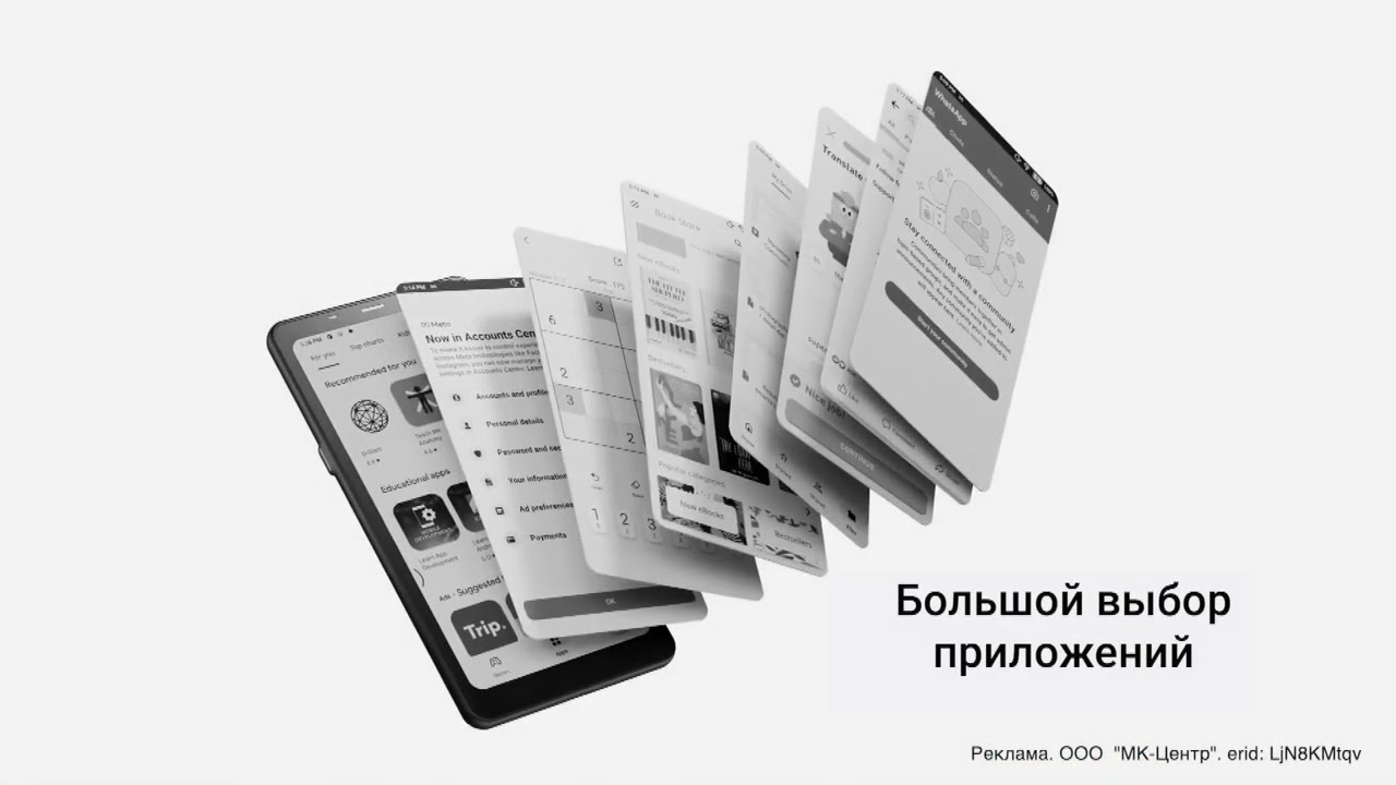 Электронная книга ONYX BOOX PALMA 2, белый