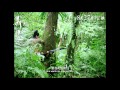 The Assassin - International Trailer 2
