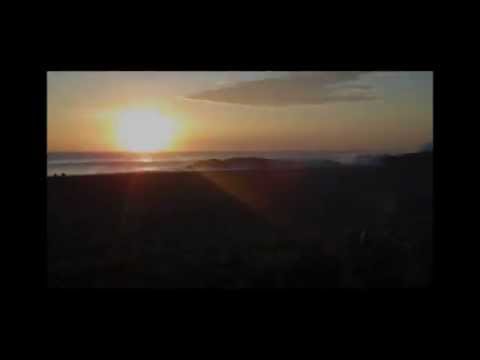 MORE RARE Led Zeppelin BLUES ~ "Honey Bee"