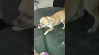 Ayo buddy, you want this cheezit fool? (You want this cheezit fool)