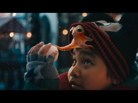 The Boy & the Octopus (2024) – A Soul-Touching Ocean Bond | Elias Rowan & Mara Voss