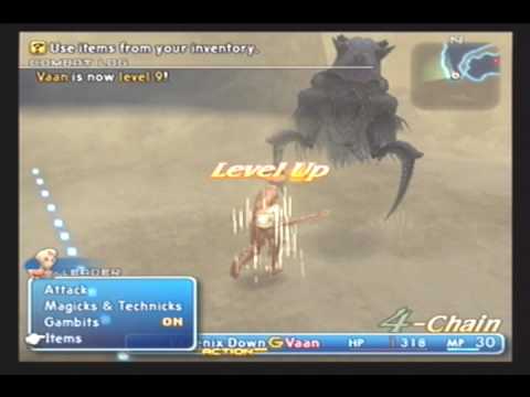 Final Fantasy XII Perfect Game Part 1 - Dustia Leveling