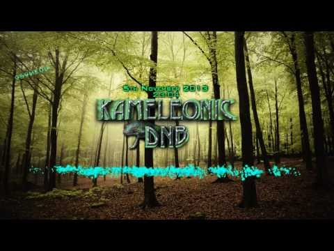 KameleonicDNB - 5th November - Drum & Bass Mix