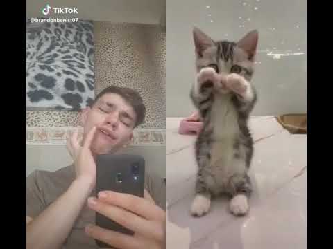 Arme katje toch ##mauro