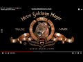 Metro Goldwyn Mayer 2007