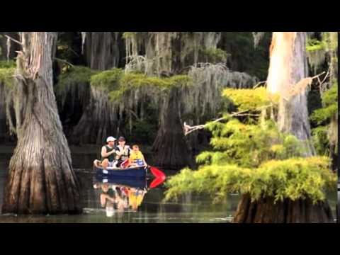 Сказочные кипарисы на озере Каддо в Теха