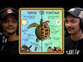 Snake Rescuers On Difference Between Turtle And Tortoise