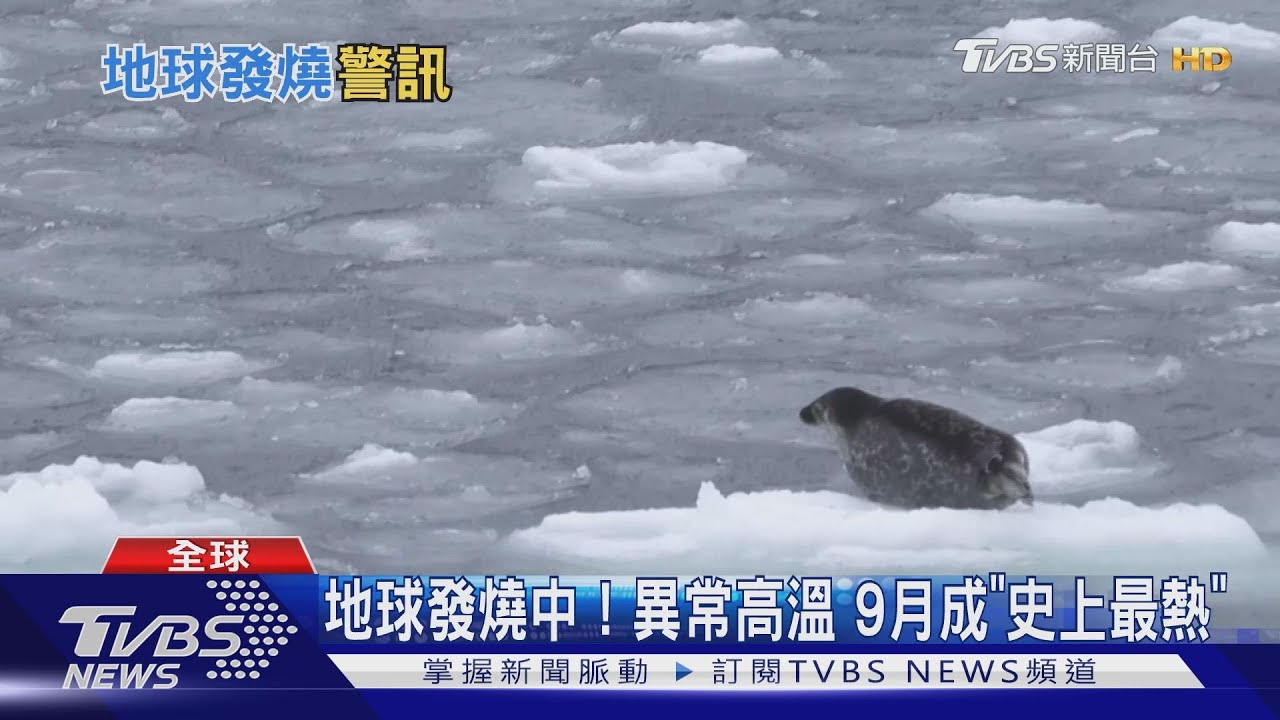 極端氣候?颶風襲擊墨國 度假勝地成災區