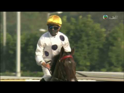 2021 The Longines Hong Kong Mile G1 - Golden Sixty (金鎗六十) - CY.Ho (馬王風範仍在進步中)