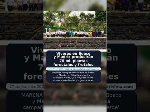 Viveros en Boaco y Madriz producirán 70 mil plantas forestales y frutales