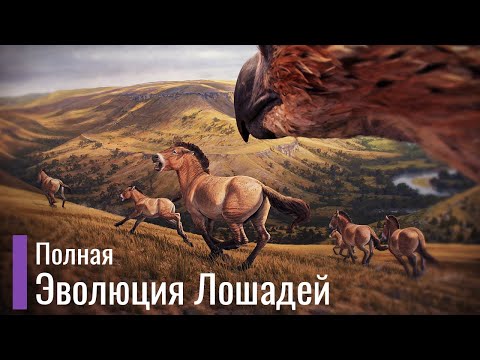 Реальная эволюция лошадей. Первобытные лошади