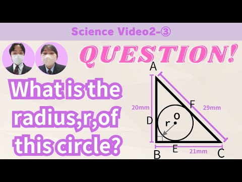 スイミングプールの塩素に代わる製品は何ですか?革新的なソリューションとは何ですか?  庭園