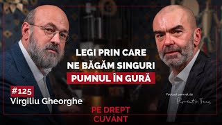 VIRGILIU GHEORGHE: CUM OPRIM ACEST PROGRAM DE LICHIDARE ECONOMICĂ, CULTURALĂ ȘI SPIRITUALĂ?