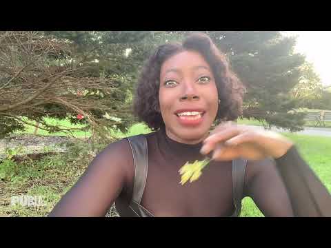 Brave New Shakespeare Challenge -- A MIDSUMMER NIGHT'S DREAM with Alfie Fuller | The public Theater