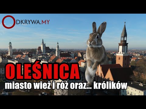 Oleśnica - the city of towers and roses and... rabbits