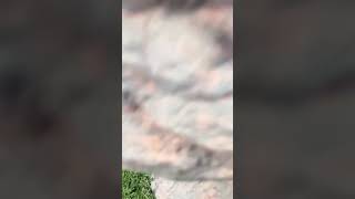 Download lagu Go and watch full video link :                   https://youtu.be/OyAED_2hOBk?si=i-Htq5EtOCecblRc mp3