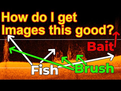 Struggling with Down Imaging? | How to Get the BEST Down Images!