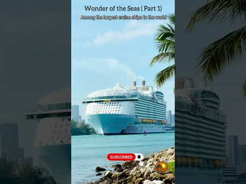 Thumbnail for 3rd largest cruise ship at Miami Port (Part-1) || #shorts #youtubeshorts #trending #cruiseship