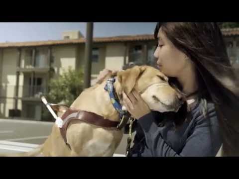 Natural Balance® Presents: Guide Dog Superheroes (Extended)