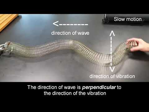 Transverse wave using slinky coil