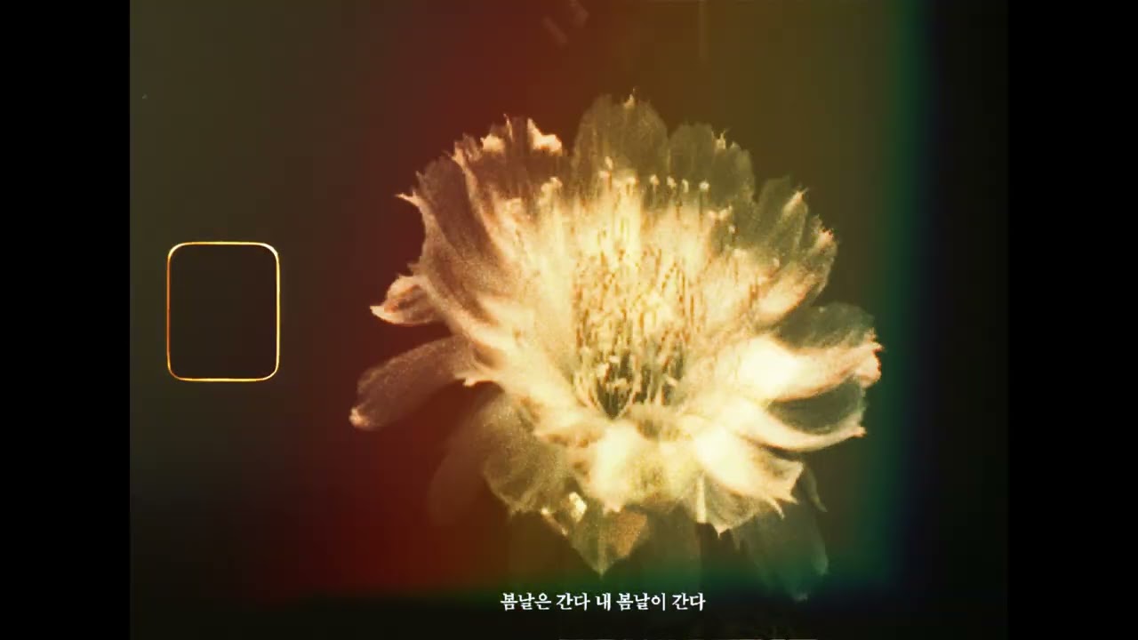 봄날은 간다 video thumbnail