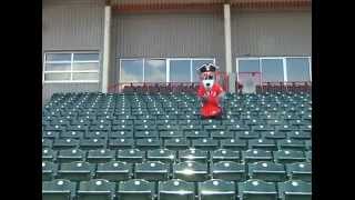 C. Wolf Cleaning the Park