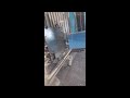 Video abspielen