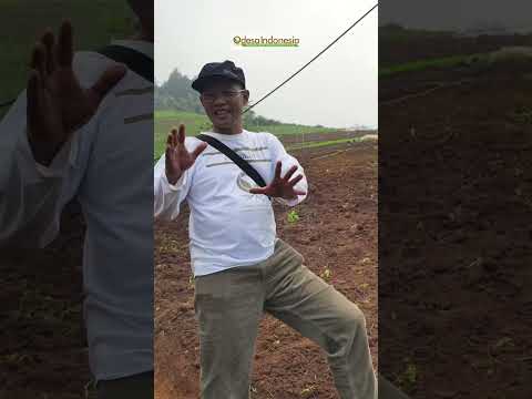 Faiz Manshur Bersama Petani Cimenyan Bandung
