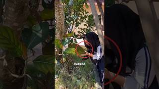 Download lagu Cewek Ini Tadinya Iseng, Tapi Lihatlah Yang Mereka Dapat mp3