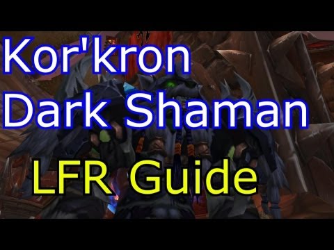 World of Warcraft How To Strategy Guide Kor'kron Dark Shaman LFR