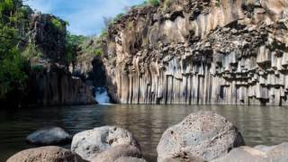 Treespiracy - Terra Piatta: Colonne di Basalto & Vecchi Alberi di 1 Mondo Perduto (Sub-Multilingual)