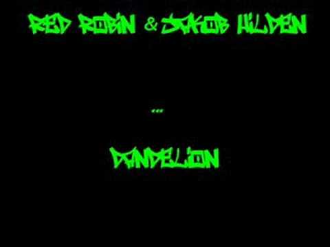 Red Robin & jakob Hilden - Dandelion