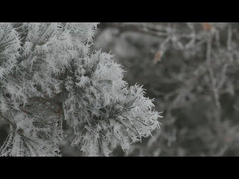 Minnesotans Share Images Of Beautiful Rime Ice