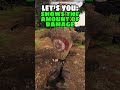 These New NOMAD Mods ENHANCE Your Gameplay Blade Sorcery