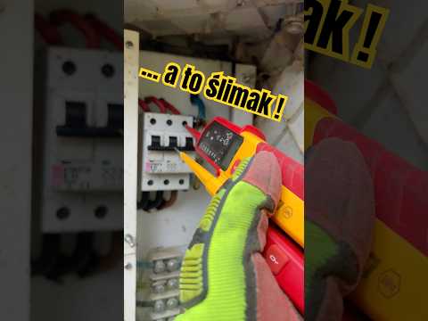 Nietypowe usterki, co może być przyczyną zwarcia w instalacji ?