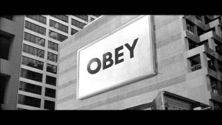 Rabbit Junk   From The Ashes