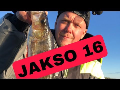 POTTUKOIRA KALASTAA 2022- JAKSO 16