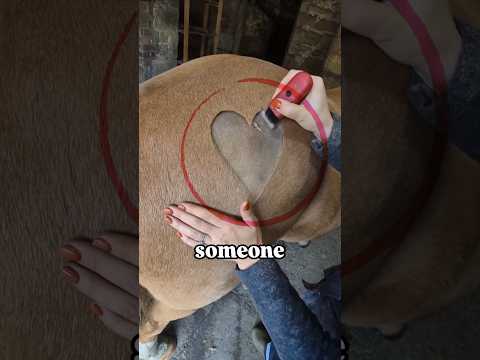 She made a heart before saying goodbye #dios
