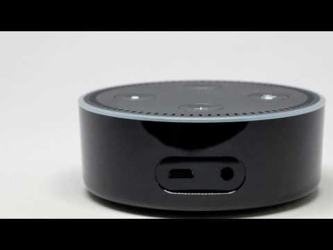 Read with Immunity featuring Spooky Bacon: The Black Pillar by Tony Johnson