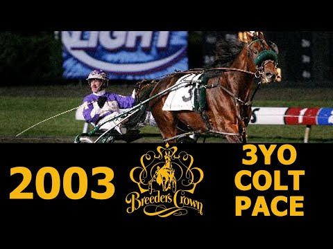 2003 Breeders Crown - No Pan Intended - 3CP