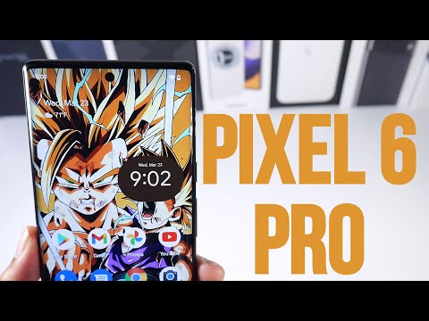 The Google Pixel 6 Pro 5 Months Later!