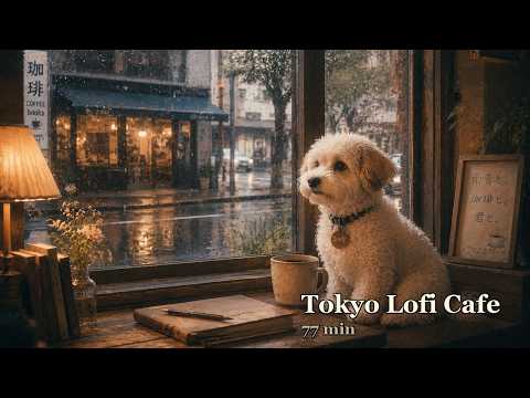 Study Lofi Hip Hop — Find Your Focus ☕ | Tokyo Lofi Radio